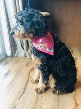 Load image into Gallery viewer, You’re a Wizard Dog Bandana