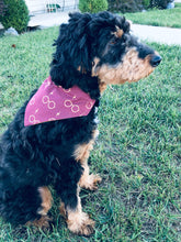 Load image into Gallery viewer, Wizard Glasses Dog Bandana