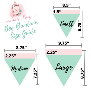 Jared’s Mountain Dog Bandana