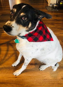 Buffalo Plaid Dog Bandana