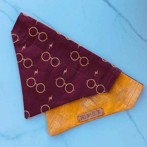 Wizard Glasses Dog Bandana