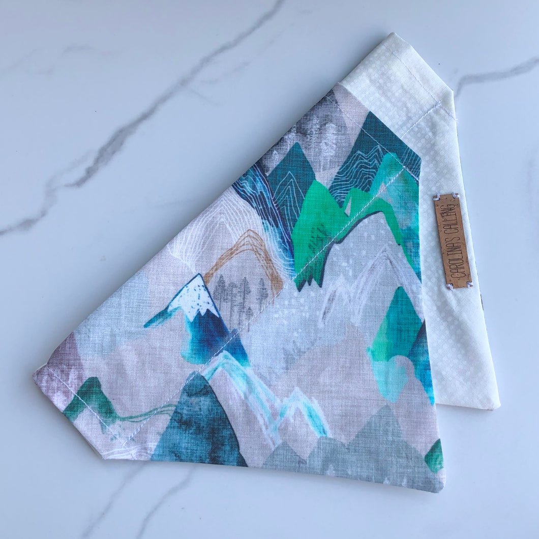 Jared’s Mountain Dog Bandana